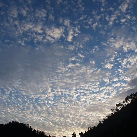 Degli Olivi Farm stay Levanto