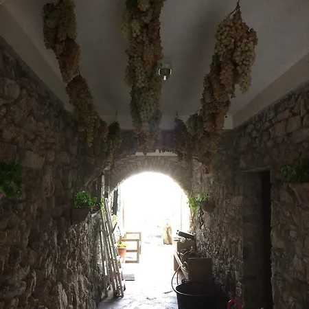 Degli Olivi Farm stay