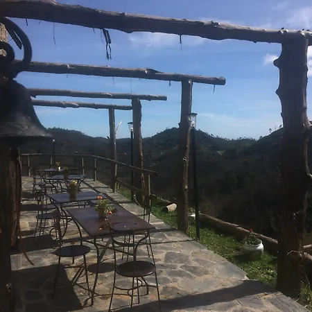 Degli Olivi Farm stay