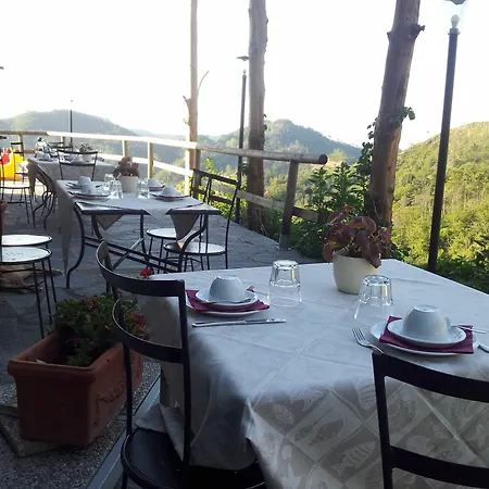 Farm stay Degli Olivi *