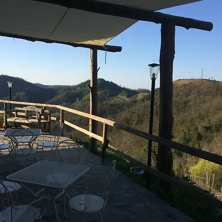 Bauernhof Degli Olivi *