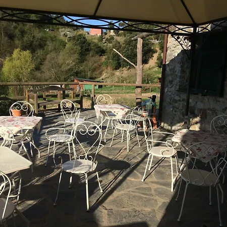 Farm stay Degli Olivi Levanto