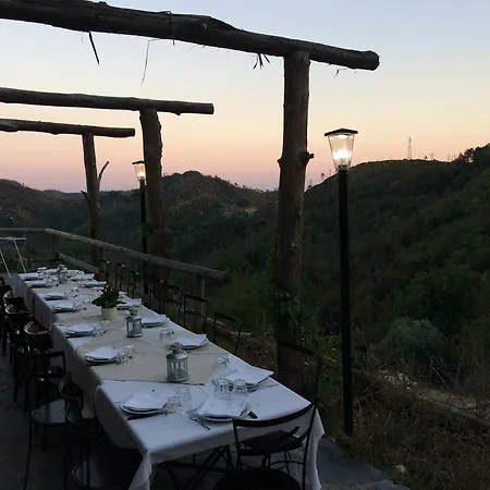 Degli Olivi Farm stay