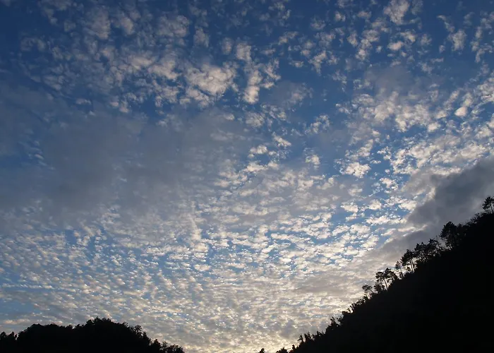 Degli Olivi Feriegård Levanto