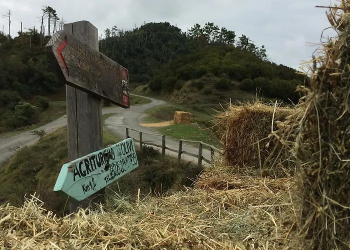 Degli Olivi ファームステイ レヴァント