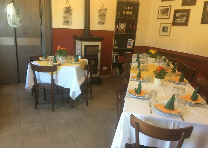Degli Olivi *