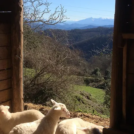 Farm stay Degli Olivi *