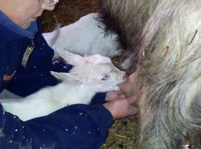 Farmház Degli Olivi Levanto