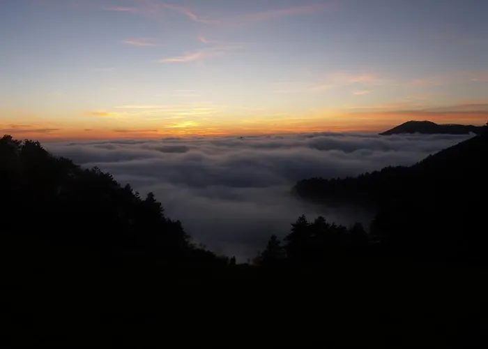 Degli Olivi * Levanto