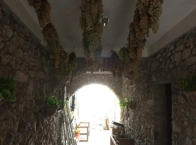 Degli Olivi Farmház