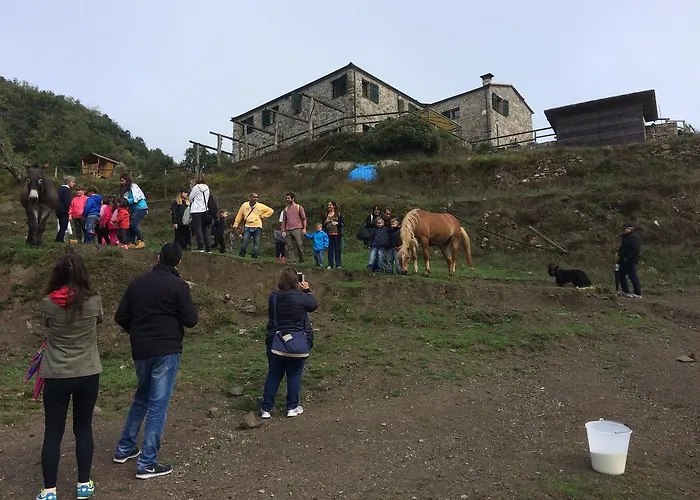Degli Olivi Farmház Levanto