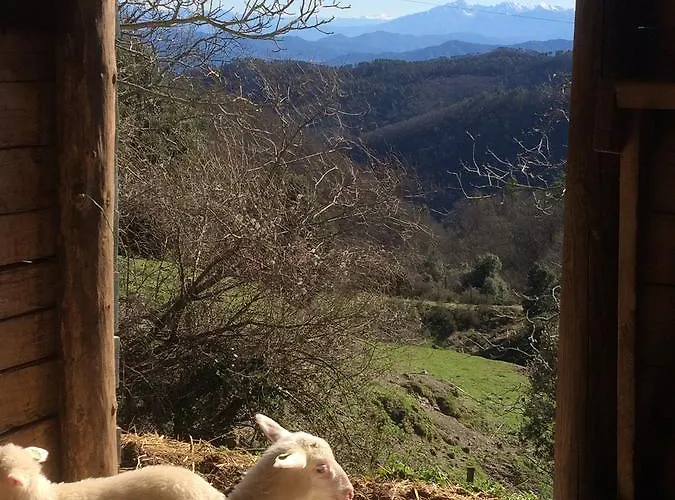 Farmház Degli Olivi *