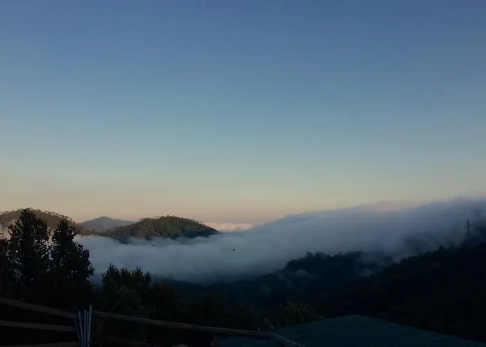 Degli Olivi Farmház *