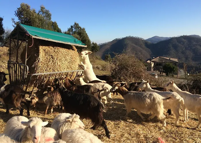 Degli Olivi Farmház Levanto