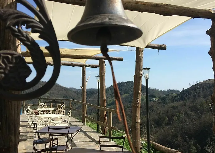 Degli Olivi * ليفانتو